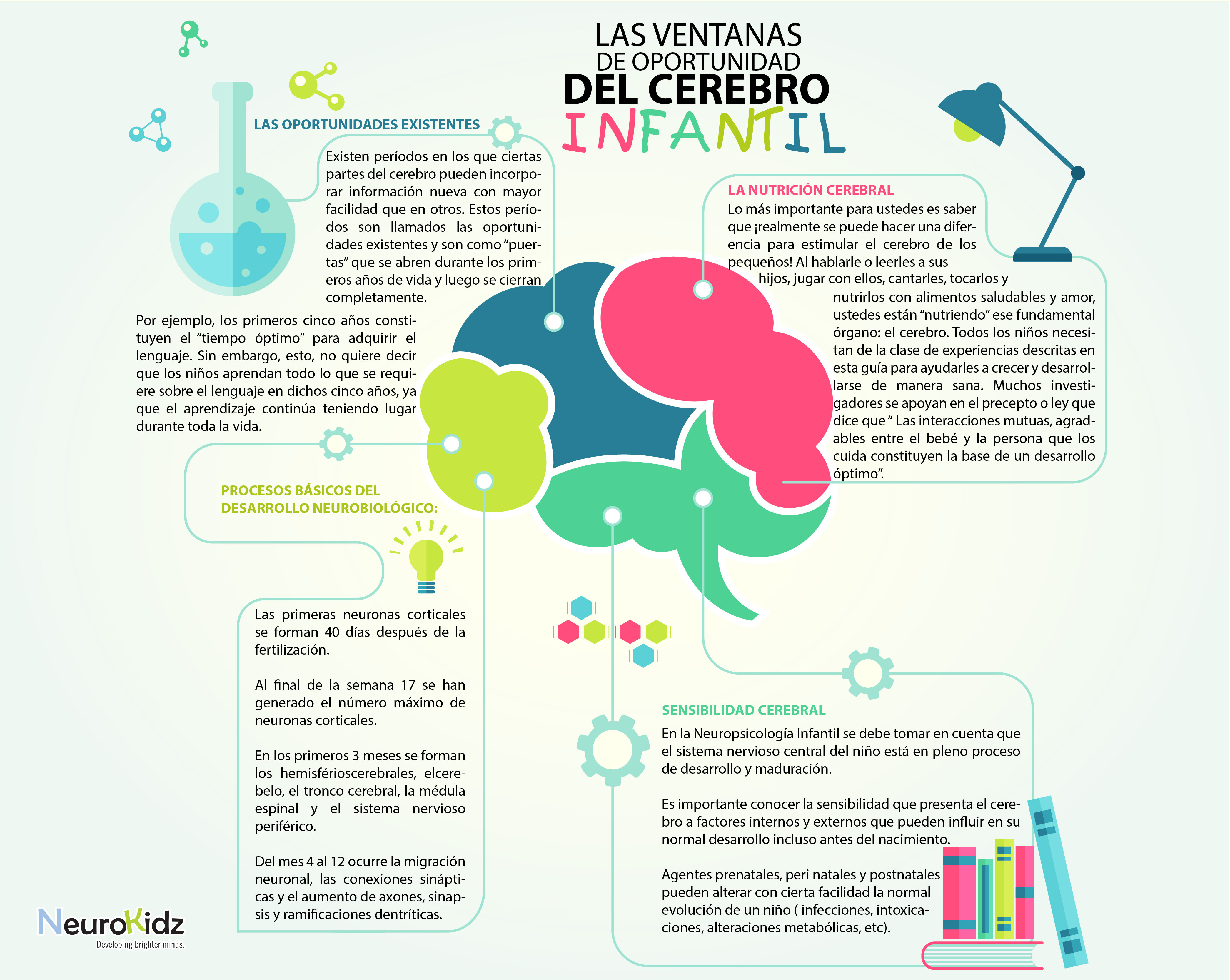 cerebro infantil-01