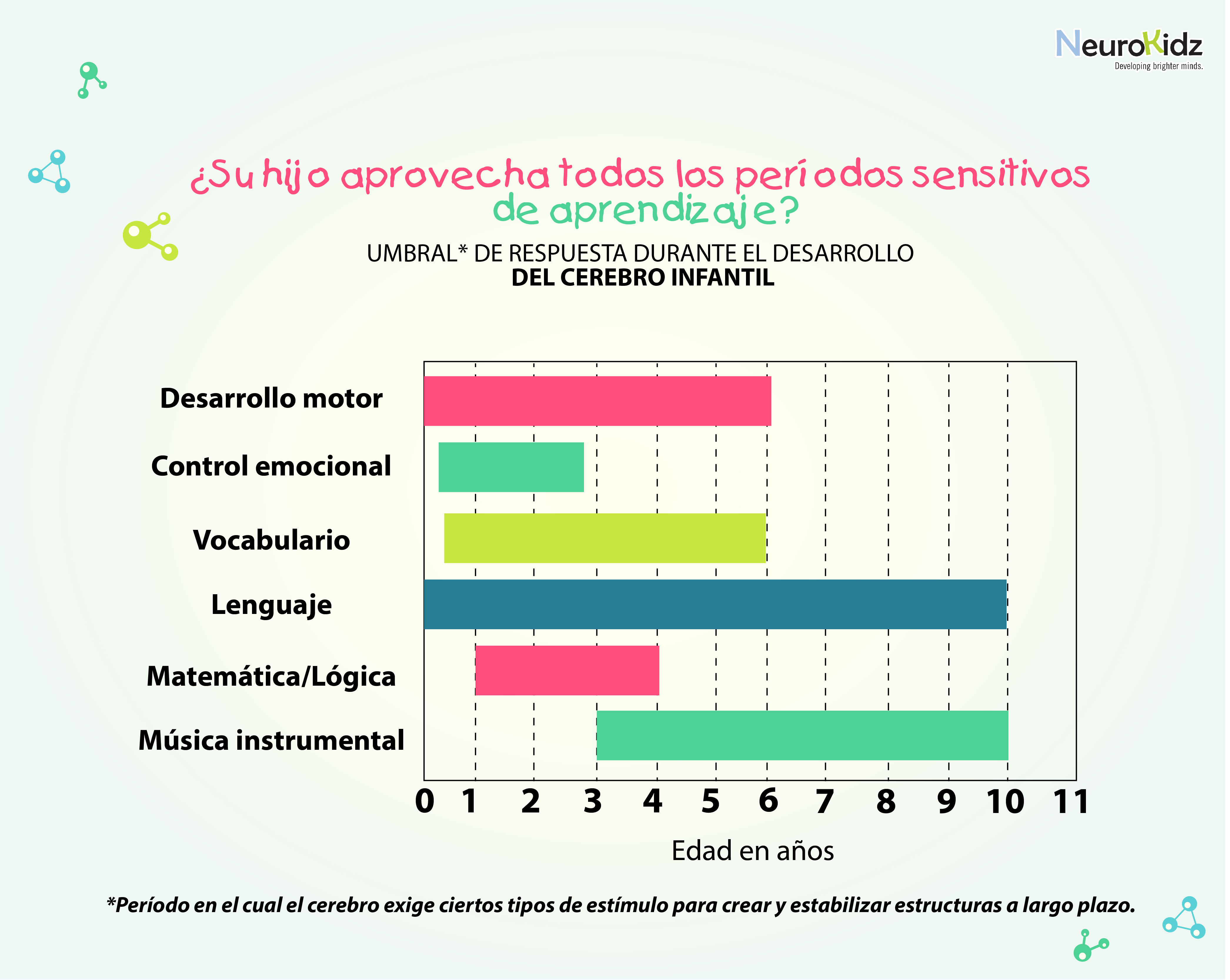 cerebro infantil-02