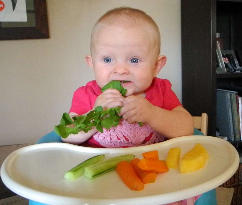 Baby Led Weaning Look Magazine