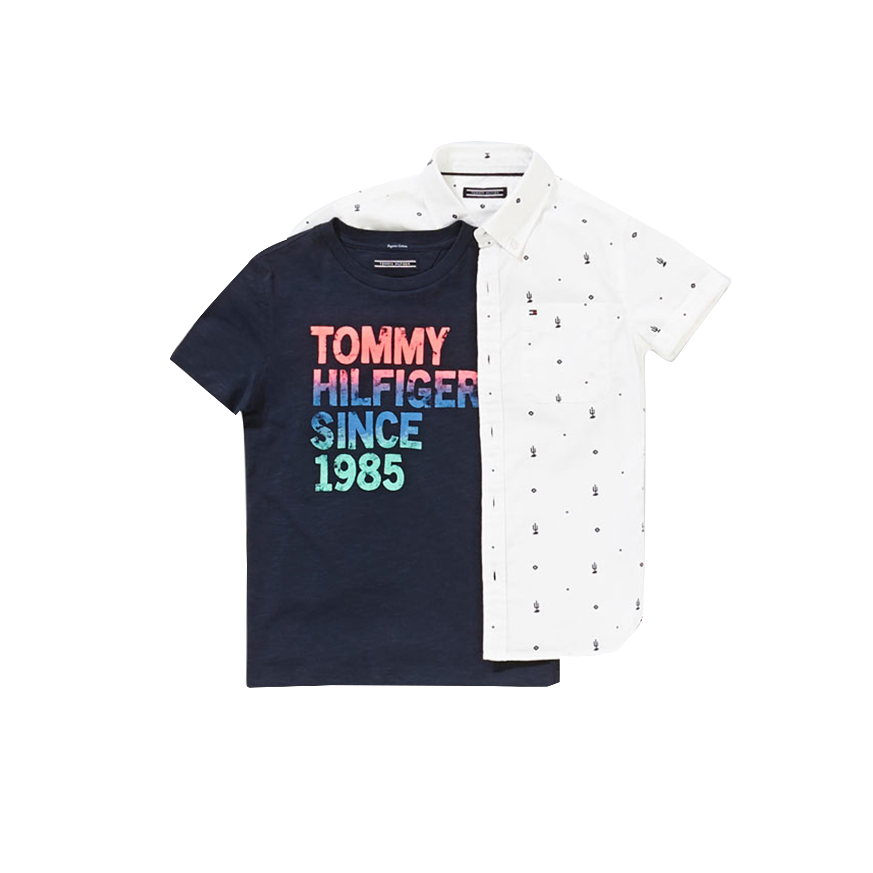 tommy_1 tommy_1
